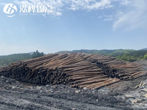 河道打樁為什么選擇松木樁來處理軟地基？-松木樁施工使用范圍