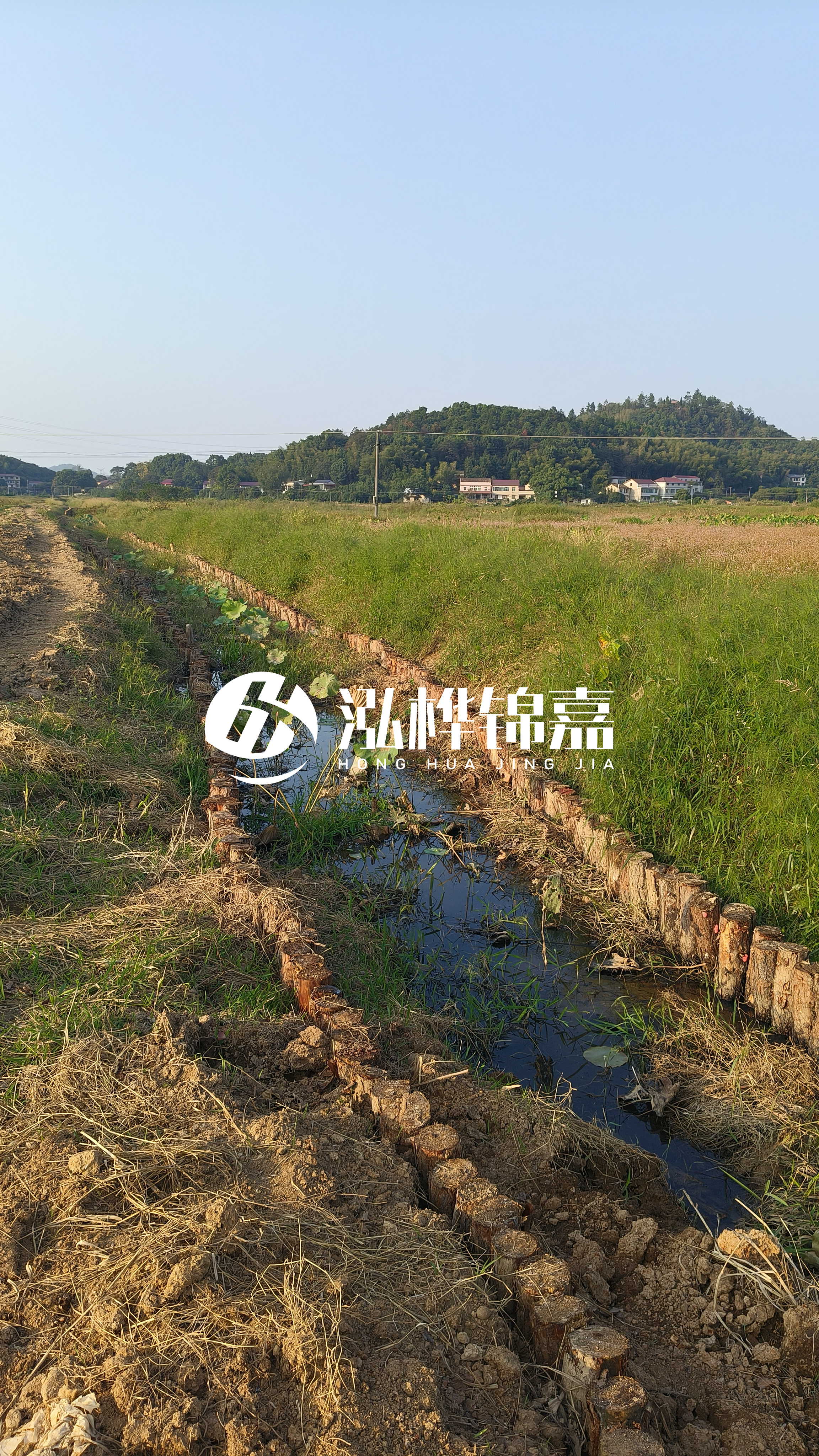 河道護坡打木樁的目的全解析：你知道幾個？